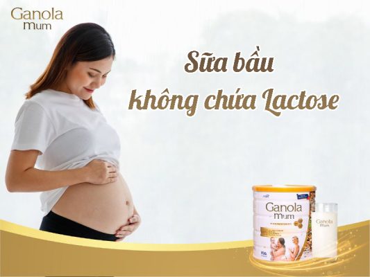 Sữa Không Chứa Lactose Cho Bà Bầu 