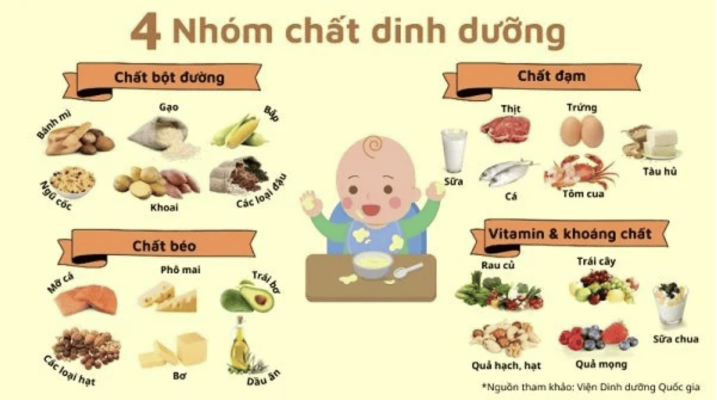 Nhóm Dinh Dưỡng Cho Trẻ Ăn Dặm 